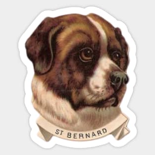 St Bernard Dog Sticker